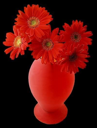 http://i253.photobucket.com/albums/hh75/maricris_2008/obsequios/floresrojas.jpg?t=1222867976