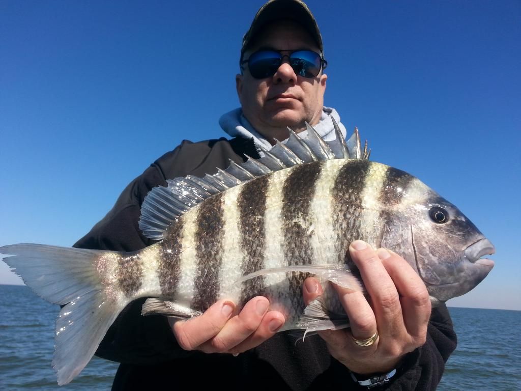 20150213_114124.jpg