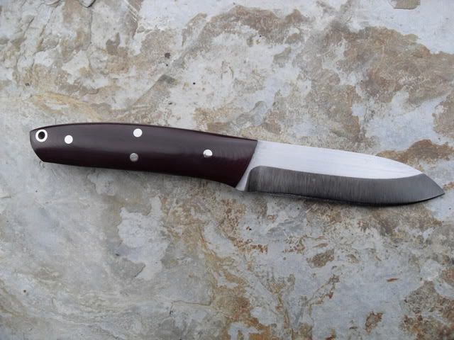 maroonmicarta011.jpg