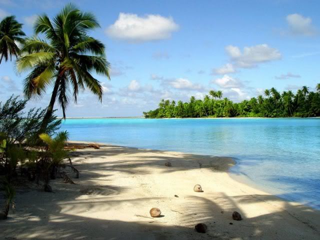 Tropical Island Pictures, Images and Photos