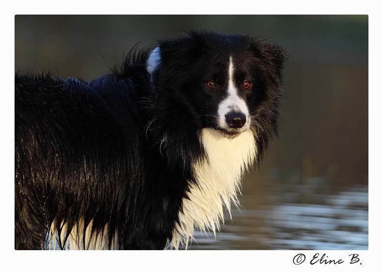 Fotografie
