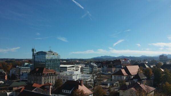 Bild