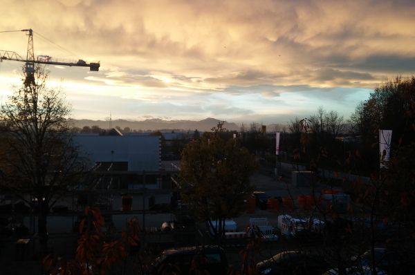Bild