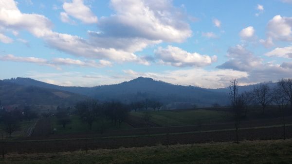 Bild