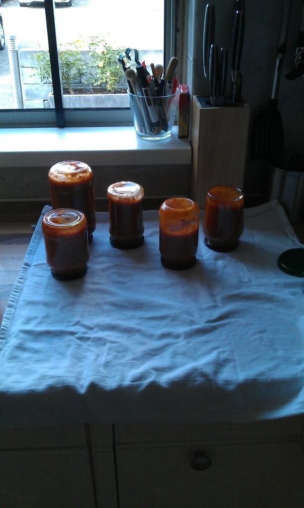 IMG-20140915-WA0007.jpeg