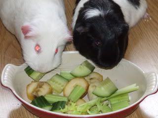 DSCF1055.jpg