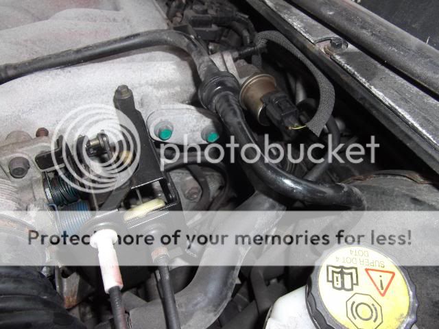 Ford mondeo st220 moosing noise #10