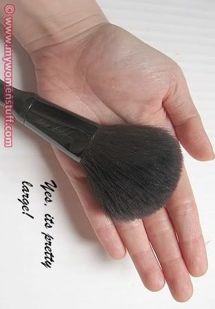 Sonia Kashuk powder brush